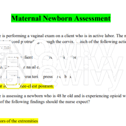 Rn vati maternal newborn assessment