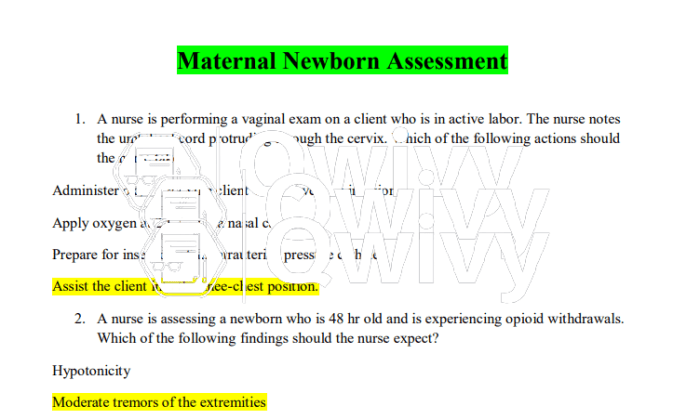 Rn vati maternal newborn assessment