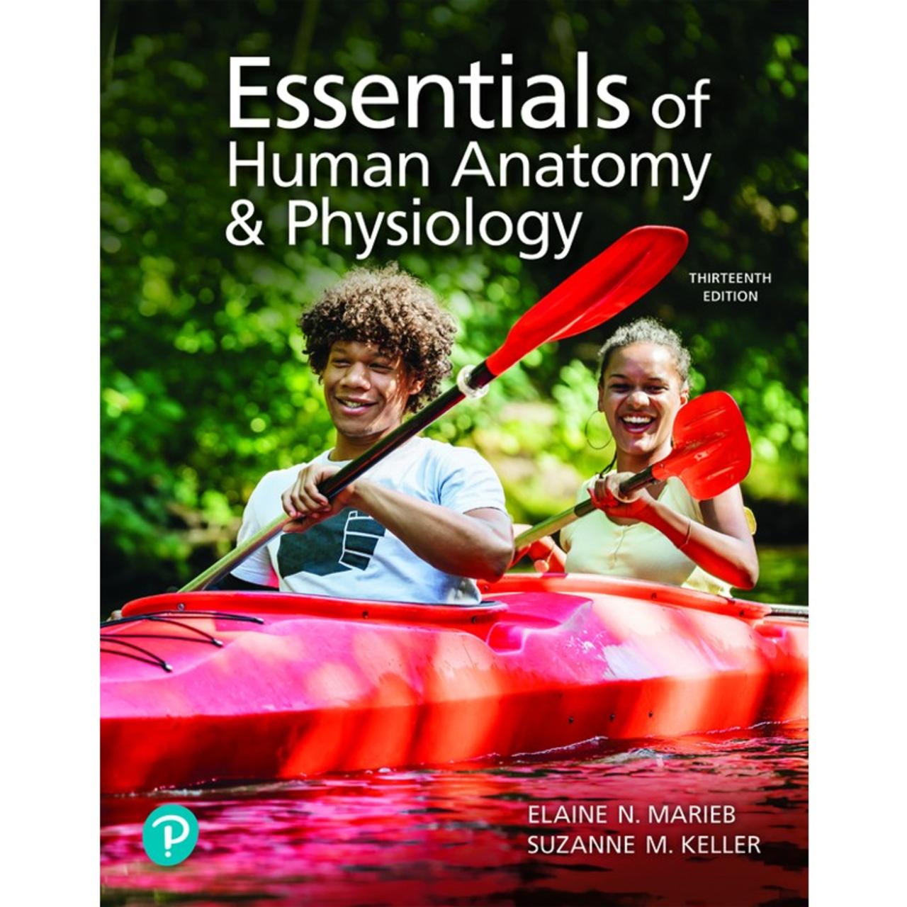 Essentials of human anatomy and physiology eighth edition