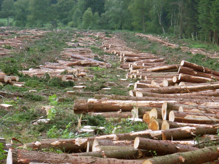 Biodiversity deforestation drought zambia