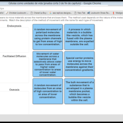 Match the methods of membrane transport with the correct descriptions.