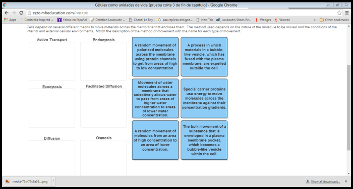 Match the methods of membrane transport with the correct descriptions.